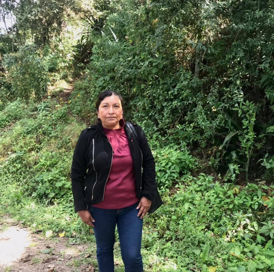 <em>Rosa Hernández - Comprador de Facebook</em>